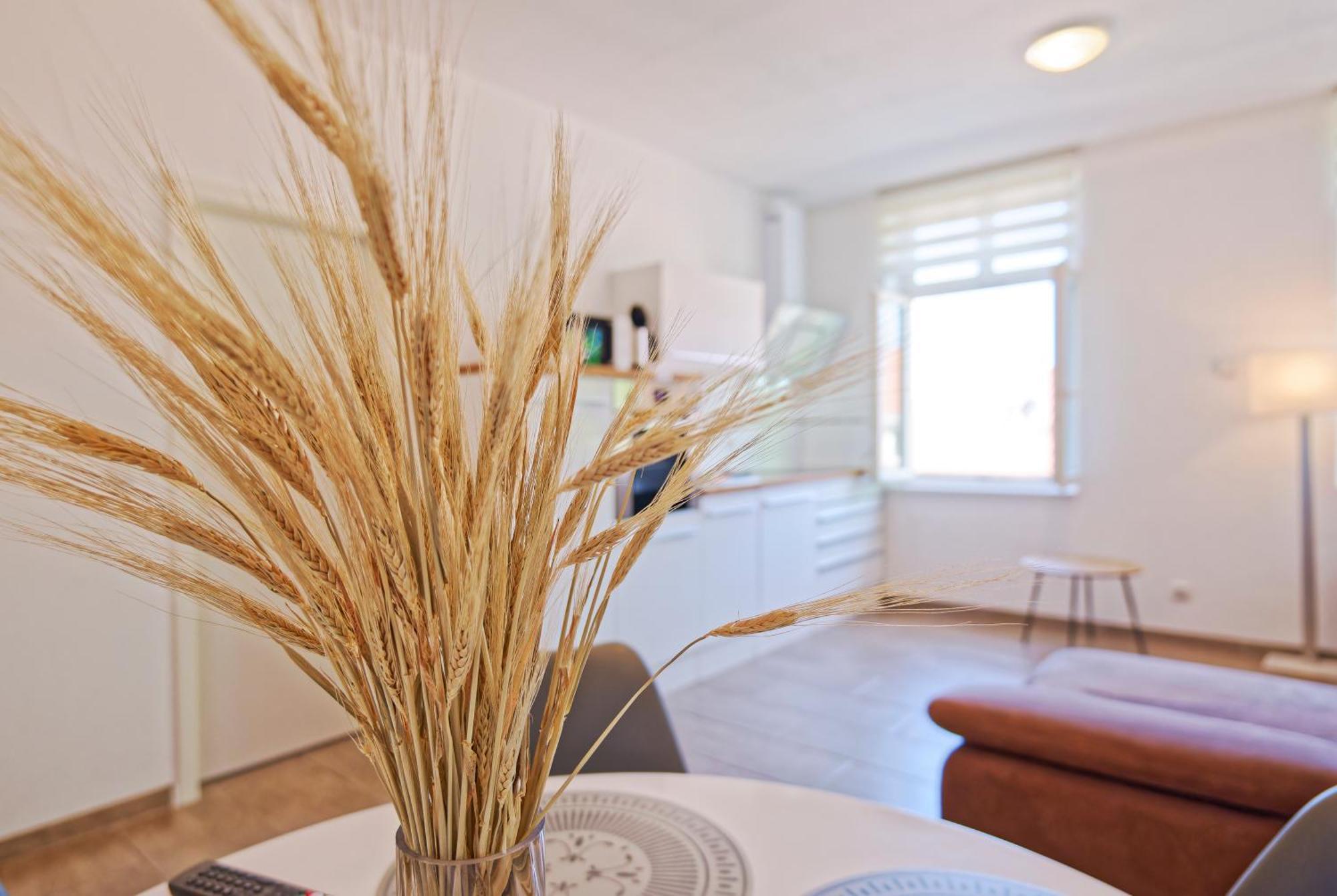 Modern Family Apartment In Μπάμπεργκ Εξωτερικό φωτογραφία